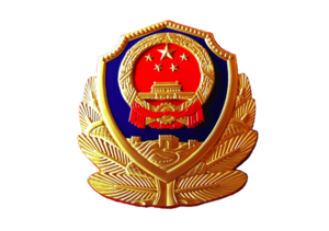 （1）公安系统